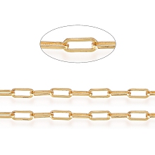 Honeyhandy 3.28 Feet Soldered Brass Paperclip Chains, Flat Oval, Drawn Elongated Cable Chains, Long-Lasting Plated, Real 18K Gold Plated, 6x2.5x0.5mm