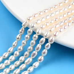 Honeyhandy Natural Cultured Freshwater Pearl Beads Strands, Rice, Seashell Color, 5~7x4mm, Hole: 0.7mm, about 61~71pcs/strand, 13.98 inch(35.5cm)