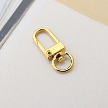 Honeyhandy Alloy Swivel Clasps, Lanyard Push Gate Snap Clasps, Golden, 3.3x1.3x0.5cm, Hole: 10x7mm