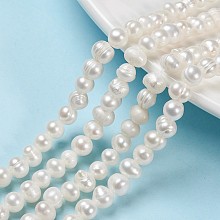 Honeyhandy Natural Cultured Freshwater Pearl Beads Strands, Potato, Old Lace, 6.5~7mm, Hole: 0.8mm, about 57~58pcs/strand, about 13.39~13.58''(34~34.5cm)