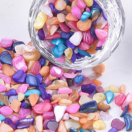 Honeyhandy Shell Beads, For Nail Art Decoration Accessories, No Hole/Undrilled, Dyed, Chips, Colorful, 2~13x2~5x0.5~4mm, about 450g/bag