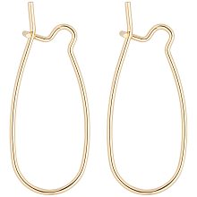 BENECREAT 30PCS 18K Gold Plated Kidney Earring Hooks Kidney Ear Wires for DIY Jewelry Making