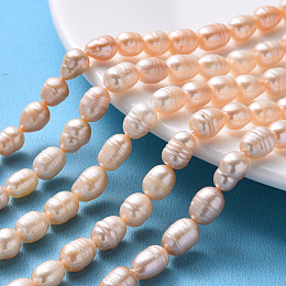 Natural Cultured Freshwater Pearl Beads Strands, Rice, PeachPuff, 7~13x7~8mm, Hole: 0.8mm, about 32~40pcs/strand, 14.16 inch