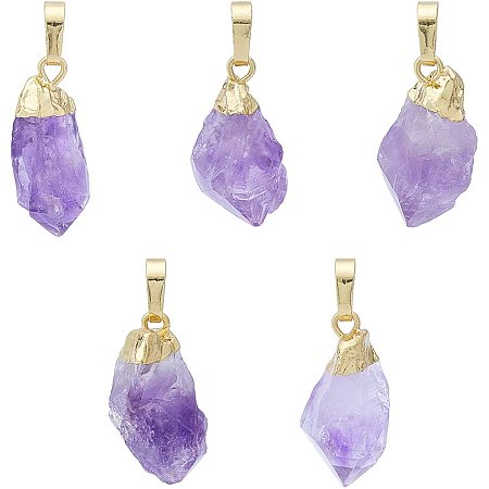 Arricraft 5PCS Drop Beads Pendants, Rock Charms, Gemstone Charms with Golden Brass Findings, Natural Amethyst Pendants for Necklace Jewelry Making