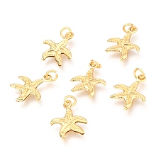 Honeyhandy Brass Charms, Long-Lasting Plated, Starfish, Real 18K Gold Plated, 14.5x12x1.5mm, Hole: 2.5mm