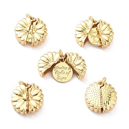 Honeyhandy Brass Micro Pave Clear Cubic Zirconia Openable Pendants, Long-Lasting Plated, Flower with Word You're a Light of Hope, Real 18K Gold Plated, 18x18x5.5mm, Hole: 5mm