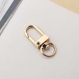 Honeyhandy Alloy Swivel Clasps, Lanyard Push Gate Snap Clasps, Light Gold, 3.3x1.3x0.5cm, Hole: 10x7mm