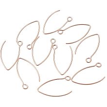 UNICRAFTALE 10 PCS Stainless Steel Earring Hooks Fish Hook Earring findings for DIY Jewelry Making 25.5x15x0.8mm, Rose Gold