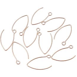 UNICRAFTALE 10 PCS Stainless Steel Earring Hooks Fish Hook Earring findings for DIY Jewelry Making 25.5x15x0.8mm, Rose Gold