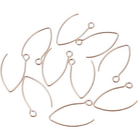 UNICRAFTALE 10 PCS Stainless Steel Earring Hooks Fish Hook Earring findings  for DIY Jewelry Making 25.5x15x0.8mm, Rose Gold 