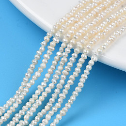 Honeyhandy Natural Cultured Freshwater Pearl Beads Strands, Potato, Seashell Color, 2~2.5x2~2.5x2~2.5mm, Hole: 0.5mm, about 146~149pcs/strand, 13.78 inch(35cm)