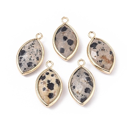 Honeyhandy Natural Dalmatian Jasper Pendants, with Golden Plated Brass Findings, Faceted, Horse Eye, 21.5x11.5x3~5mm, Hole: 1.6mm