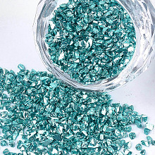 Honeyhandy Plated Glass Seed Beads, For Nail Art Decoration Accessories, No Hole/Undrilled, Chips, Light Sea Green, 2~7x1~5x0.5~2mm, about 450g/bag