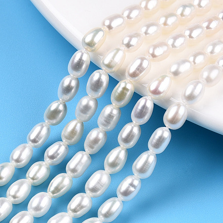 Honeyhandy Natural Cultured Freshwater Pearl Beads Strands, Rice, Seashell Color, 6~6.5x4~5mm, Hole: 0.7mm, about 58~59pcs/strand, 14.49 inch~14.69 inch(36.8~37.3cm)