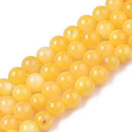 Honeyhandy Natural Freshwater Shell Beads Strands, Dyed, Round, Orange, 2.5mm, Hole: 0.5mm, about 122~136pcs/strand, 14.57 inch~15.63 inch(37cm~39.7cm)