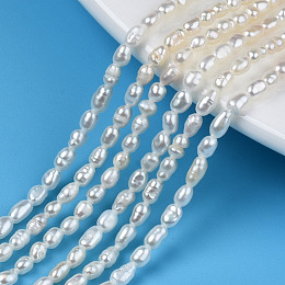 Natural Cultured Freshwater Pearl Beads Strands, Rice, Seashell Color, 3~5x2.5~3mm, Hole: 0.6mm, about 94~100pcs/strand, 13.70''~14.49''(34.8cm~36.8cm)
