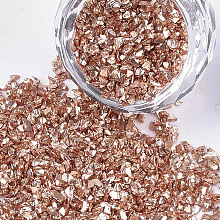 Honeyhandy Plated Glass Seed Beads, For Nail Art Decoration Accessories, No Hole/Undrilled, Chips, Dark Salmon, 2~7x1~5x0.5~2mm, about 450g/bag