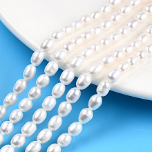 Honeyhandy Natural Cultured Freshwater Pearl Beads Strands, Rice, Seashell Color, 6~7x5mm, Hole: 0.7mm, about 52~54pcs/strand, 13.86 inch~14.37 inch(35.2~36.5cm)