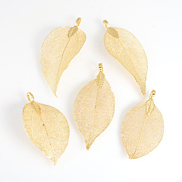 Honeyhandy Electroplated Natural Leaf Big Pendants, with Iron Findings, Golden Plated, 50~80x20~35x1mm, Hole: 3x6mm