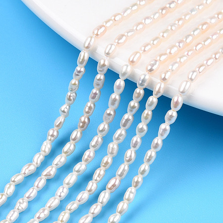 Natural Cultured Freshwater Pearl Beads Strands, Rice, Seashell Color, 3~4x2.5~3mm, Hole: 0.6mm, about 98~99pcs/strand, 13.86 inch~13.94 inch(35.2~35.4cm)