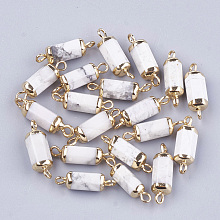 Honeyhandy Electroplate Natural Howlite Links connectors, with Iron Findings, Column, Golden, 20~21x5~6x5~6mm, Hole: 1.8mm