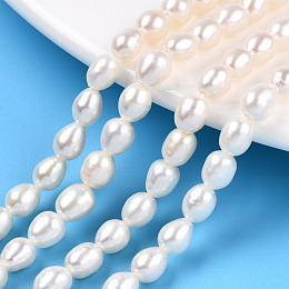 Honeyhandy Natural Cultured Freshwater Pearl Beads Strands, Rice, Seashell Color, 6~7x5~5.5mm, Hole: 0.7~0.8mm, about 28~29pcs/strand, 7.09 inch(18cm)