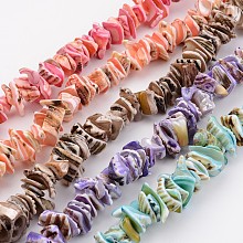 Honeyhandy Natural Shell Bead Strands, Dyed, Nuggets, Mixed Color, 10~20x8~12x3~6mm, Hole: 1mm, about 15.7 inch