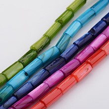 Honeyhandy Natural Shell Bead Strands, Dyed, Column, Mixed Color, 8x4mm, Hole: 0.5mm, about 50pcs/strand, 15.7 inch