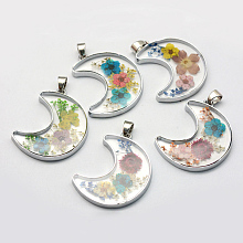 Honeyhandy Alloy Resin Pendants, Moon, with Dried Flower inside, Platinum, Mixed Color, 36x28.5~29x4mm, Hole: 4.5x5mm