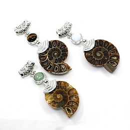 Honeyhandy Gemstone Big Pendants, with Alloy Findings and Fossil, Snail, Platinum Metal Color, 58~78x29~35x8~9mm, Hole: 4x6mm