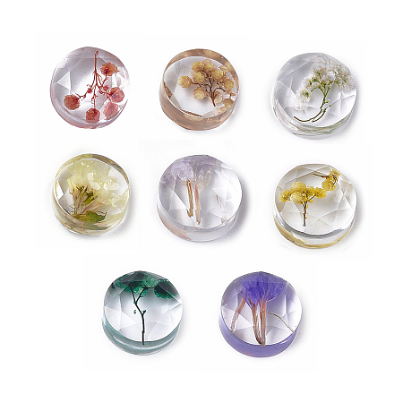 ARRICRAFT Resin Cabochons, with Dried Flower inside, Faceted, Flat Round, Mixed Color, 16x8mm