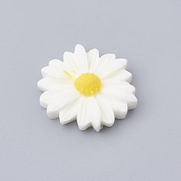 Honeyhandy Resin Cabochons, Flower/Daisy, White, 23x22x7mm