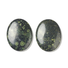 Honeyhandy Natural Kambaba Jasper Worry Stone for Anxiety Therapy, Oval Thumb Stone, 45x34~35x7~8.5mm