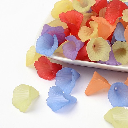 Arricraft Mixed Transparent Acrylic Flower Beads, Frosted, Dyed, about 20mm wide, 20mm long, 2mm thick, hole:1.5mm