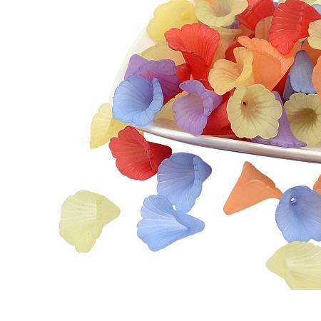 ARRICRAFT 20 Pcs Mixed Frosted Dyed Transparent Acrylic Flower Beads for Jewelry Making