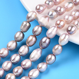 Honeyhandy Natural Cultured Freshwater Pearl Beads Strands, Rice, Thistle, 10~14x8~8.5mm, Hole: 0.7~0.8mm, about 34~35pcs/strand, 13.78 inch(35cm)