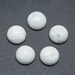 Honeyhandy Natural Howlite Cabochons, Half Round, 8x3.5~4mm