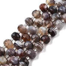 Honeyhandy Natural Botswana Agate Beads Strands, with Seed Beads, Faceted, Rondelle, 8x6mm, Hole: 1mm, about 20~22pcs/strand, 7.09 inch(18cm)