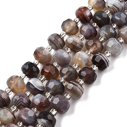 Honeyhandy Natural Botswana Agate Beads Strands, with Seed Beads, Faceted, Rondelle, 8x6mm, Hole: 1mm, about 20~22pcs/strand, 7.09 inch(18cm)