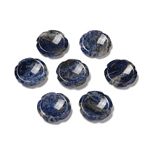 Honeyhandy Natural Sodalite Worry Stones, Flower Shape, 37.5~38x38x7~7.5mm