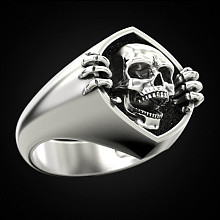 Honeyhandy Alloy Skull Finger Rings, Gothic Chunky  Ring for Men, Platinum, US Size 9(18.9mm)