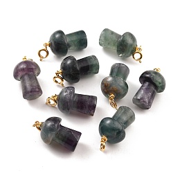 Honeyhandy Natural Fluorite Pendants, with Platinum Tone Brass Findings, Mushroom, 33mm