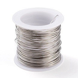 Honeyhandy 316 Surgical Stainless Steel Wire, for Jewelry Making, Stainless Steel Color, 20 Gauge, 0.8mm, about 26.24 Feet(8m)/roll