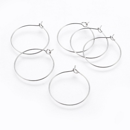 Honeyhandy 316L Surgical Stainless Steel Earring Hooks, Ear Wire