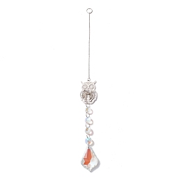 Honeyhandy Hanging Suncatcher, Iron & Faceted Glass Pendant Decorations, with Jump Ring, Owl, Clear AB, 360x1mm, Hole: 11mm