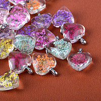 Honeyhandy Heart Alloy Glass Pendants, Cadmium Free & Lead Free, with Dried Flower Inside, Platinum, 27~28x20x11~12mm, Hole: 4.5x2.5mm