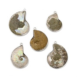 Honeyhandy Natural Conch Fossil Pendants, Fossil Snail Charms, with Brass Findings, Shell, Platinum, 35.5~47x27.5~35x4~10.5mm, Hole: 2.5mm