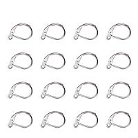 ARRICRAFT 304 Stainless Steel Leverback Earring Findings, with Loop, Stainless Steel Color, 15x10x2mm, Hole: 1.5mm