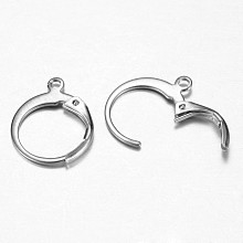 Honeyhandy 304 Stainless Steel Leverback Earring Findings, Stainless Steel Color, 15x12x2mm