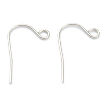 Honeyhandy 316 Surgical Stainless Steel Earring Hooks, Ear Wire, Stainless Steel Color, 21x12mm, Pin: 0.6mm